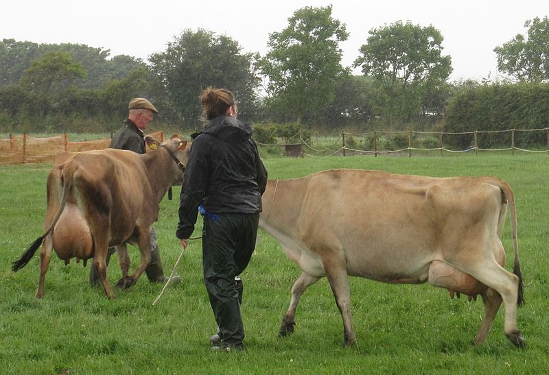 File:West Show Jersey July 2012 09.jpg