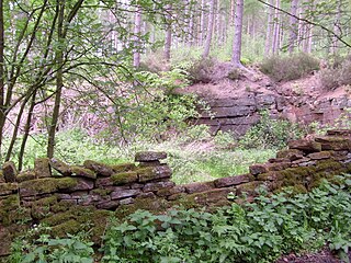 <span class="mw-page-title-main">Whinfell Forest</span>