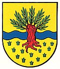 Wappen von Widnau