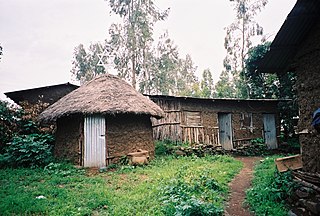 <span class="mw-page-title-main">Wolleka</span> Village in Amhara, Ethiopia