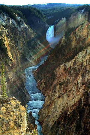 Yellowstone - Lower Falls