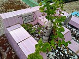 Bahasa Indonesia: Makam Zafry Zamzam di belakang Masjid Nurul Amanah, Banjarbaru, dimana dia adalah salah satu pejuang kemerdekaan Republik Indonesia dan salah satu pendiri dari UIN Antasari, Banjarmasin English: Zafry Zamzam's grave behind the Nurul Amanah Mosque, Banjarbaru, where he was one of the freedom fighters for the Republic of Indonesia and one of the founders of Antasari Islamic State University, Banjarmasi Banjar: Kuburan Zafry Zamzam di balakang Masjid Nurul Amanah, Banjarbaru, dimana dianang mana inya adalah pajuang kamardikaan Ripublik Indunisia. Inya jua manjadi urang nang mandiriakan UIN Antasari di Banjarmasin