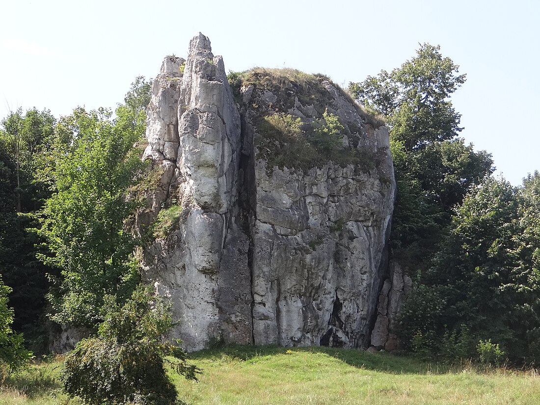 Wachturm Łutowiec