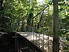 Tuin met gietijzeren brug