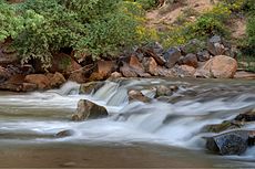Small waterfall in the north fork of the Virgin River