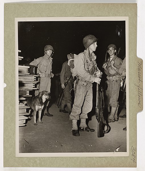 File:"Pete," the mascot, seems to scent the stern business of bullets and bombs ahead as he prepares to board a U.S. Coast Guard-manned transport bound for action in the South Pacific (51241062575).jpg