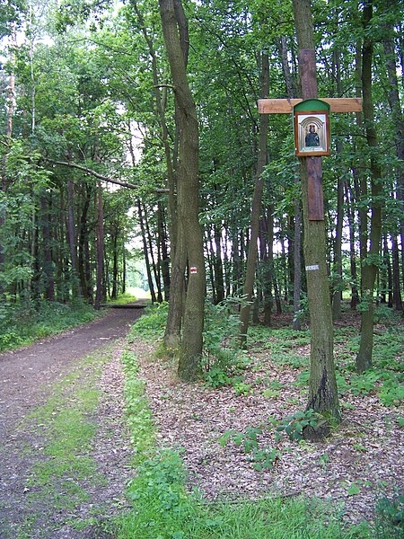 File:Černouček, svatováclavský kříž u silnice na Horní Beřkovice.jpg