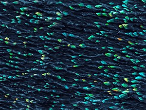 Морське життя (SEM-зображення текстурованої поверхні фосфіду індію).jpg