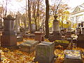 Thumbnail for List of burials at Tikhvin Cemetery