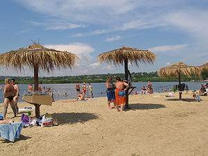 Плаж на солено езеро през 2011 г.