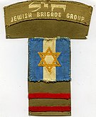 תגי כתף לוחם עברי בבריגדה-חיל 1943 - iלהביi btm8637.jpeg