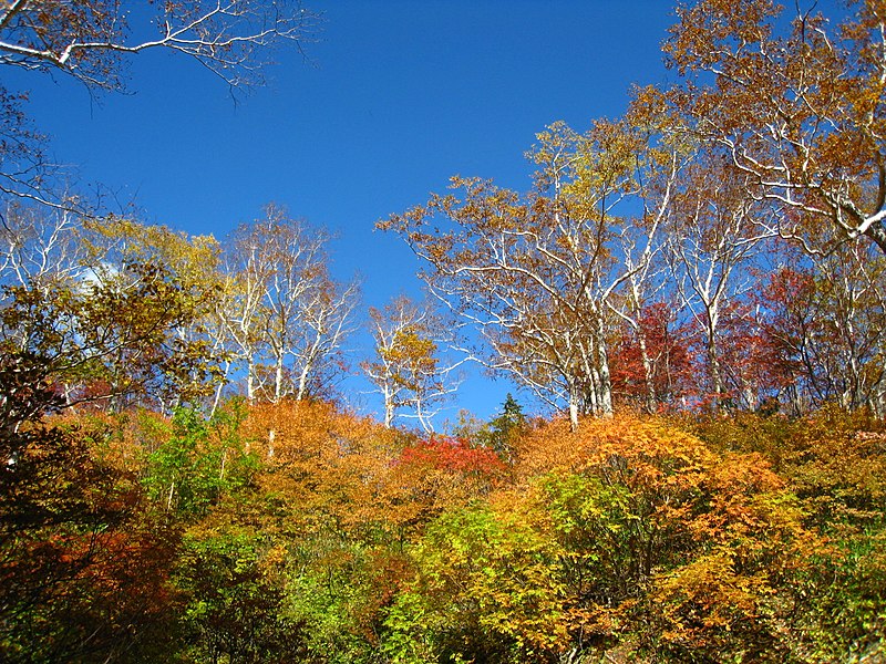 File:高原の秋空（Autumn sky of plateau） - panoramio.jpg