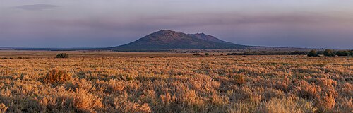 Panoramic view of the Serengeti National Park during the golden hour of sunrise