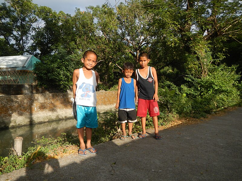 File:08782jfChurch Pio Cruzcosa Balite San Marcos Roads Creeks Calumpit Bulacanfvf 10.JPG