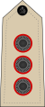 09. Malawi Army - CAPT.svg