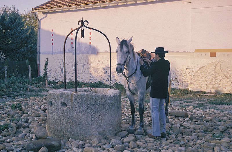 File:1995 Ecomusee de la Crau Festreiter.jpg