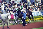 ワナ (競走馬)のサムネイル