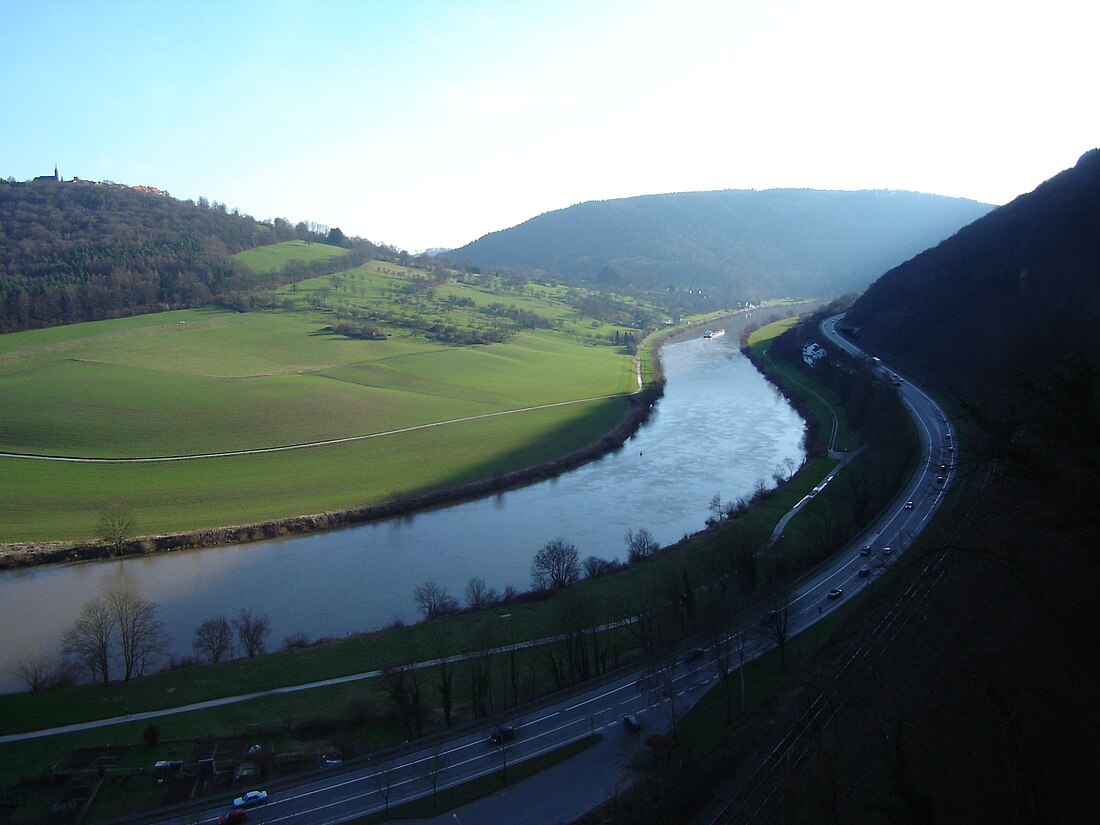 Neckar