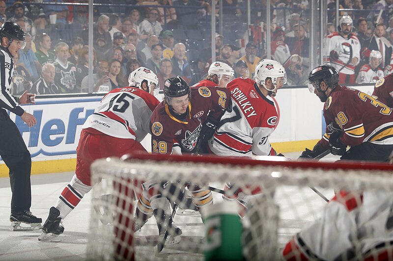 File:2019 Calder Cup finals (game 4)(48039112552).jpg