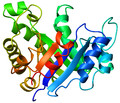 Vista laterale dello stesso barile TIM(PDB code 8TIM)