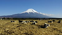 A pasture in Asagiri-kogen.jpg