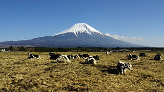 <i>100 Famous Japanese Mountains</i> book composed in 1964 by mountaineer and author Kyūya Fukada