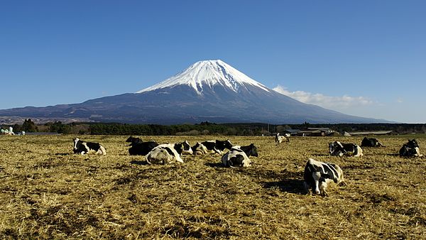 Mount Fuji (3,776 m) from Asagiri-kōgen