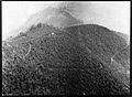 A ridge covered with Cinchona Ledgeriana at Munsong. Wellcome M0001629.jpg