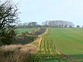 A view along the Wansdyke from the A361, Wiltshire - geograph.org.uk - 337386.jpg