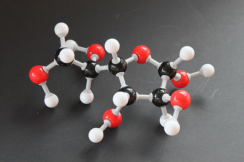 File:Alpha-D-Idofuranose Molekülbaukasten 9244.JPG