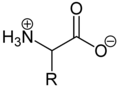 Aminosyre som en zwitterion