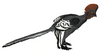 Anchiornis martyniuk.png