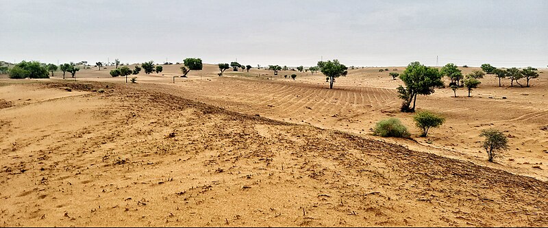 File:Apna Khet Village Malasar Farm View.jpg