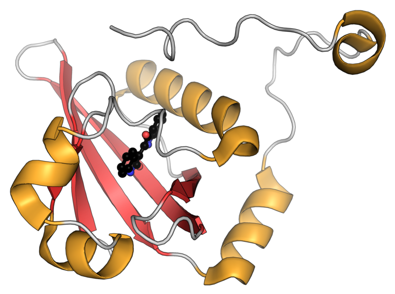 File:Aryl hydrocarbon receptor PDB 7ZUB.png