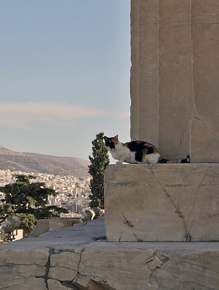 File:Athens 09 2013 - panoramio (66).jpg