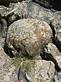 Affioramento di basalto a pillows, entro la serie ofiolitica delle Alpi Cozie francesi a Chenaillet