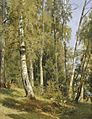 Ж-1673 Ivan Shishkin. Birch Grove label QS:Len,"Birch Grove" label QS:Lru,"Берёзовая роща" . 1871.