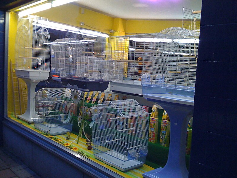 File:Bird cages in a shop window -March2009.jpg