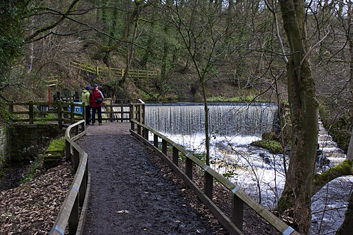 Birkacre Weir - geograph.org.uk - 2742956