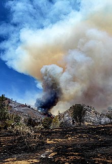 Asap hitam naik dari Mineral Fire.jpg