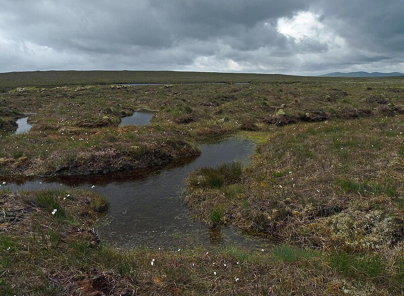 File:Bog, Blàr nan Lombaidean, Isle of Lewis - geograph.org.uk - 5445045.jpg