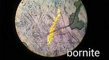 Microscopic picture of Bornite Bornite by petrographic microscope.jpg