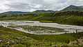 * Nomination Braiding of flooded Joe Creek in Canada's Ivvavik National Park --Daniel Case 22:54, 28 February 2017 (UTC) * Promotion Good quality. -- Johann Jaritz 03:06, 1 March 2017 (UTC)