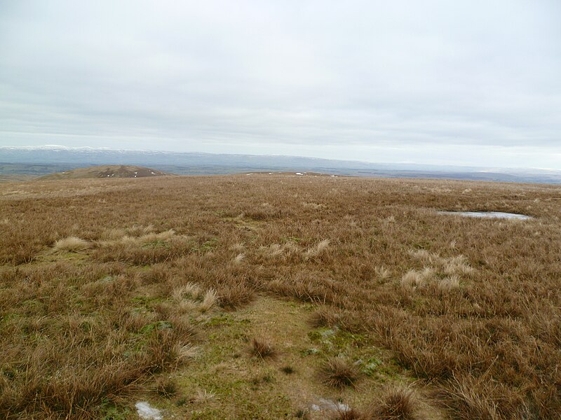 File:Branstree Summit - geograph.org.uk - 2219260.jpg