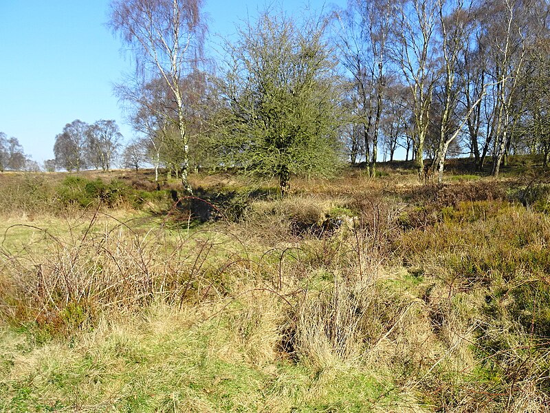 File:Brocton Camp (Chase Road Corner) - Coal Drops - geograph.org.uk - 5692720.jpg