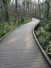 Brooker Creek Nature Preserve walkway