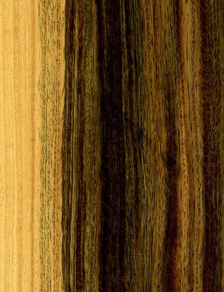 Wood of Bulnesia sarmientoi