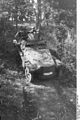 Bundesarchiv Bild 101I-259-1389-14A, Südfrankreich, Schützenpanzer im Wald.jpg