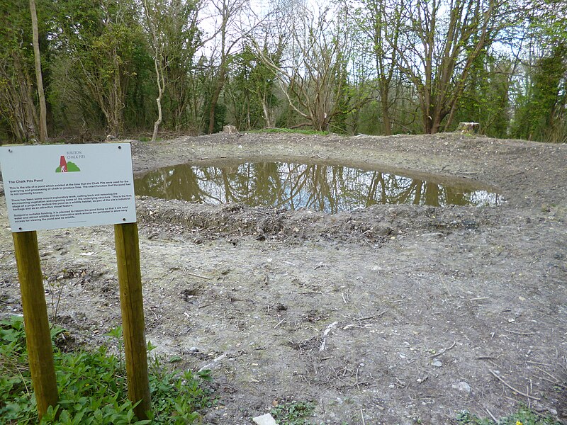 File:Buriton Chalk Pits pond - geograph.org.uk - 3941807.jpg