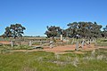 English: The private cemetery at Burrabogie Station, east of Hay, New South Wales